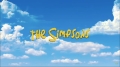 Die Simpsons