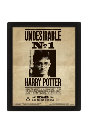 Harry Potter - Harry/Sirius gerahmtes 3D Bild