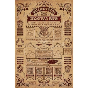 Harry Potter - Quidditch in Hogwarts Maxi Poster