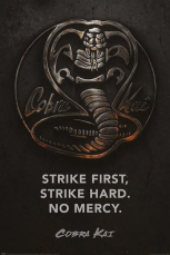 Cobra Kai - Metal Maxi Poster