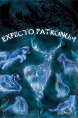 Harry Potter - Patronus Maxi Poster