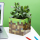 Minecraft - Grass Block Pen And Plant Pot/Pflanzentopf