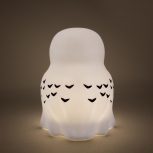 Harry Potter - Hedwig Licht