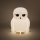 Harry Potter - Hedwig Licht