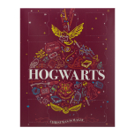 Harry Potter - Sock Advent Calendar/Socken Adventkalender