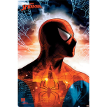 Spider-Man - Protector of the City Maxi Poster