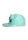 Pokemon - Bisasam Snapback Cap