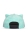 Pokemon - Bisasam Snapback Cap