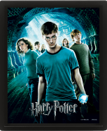 Harry Potter - Der Orden des Phönix gerahmtes 3D Bild