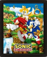 Sonic The Hedgehog - Fang die Ringe gerahmtes 3D Bild
