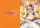 Fairy Tail - Natsu & Happy Dokumentenhüllen Set