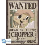 One Piece - Gesucht: Chopper & Brook Poster Set