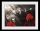 Tokyo Ghoul - Rote Blumen gerahmtes Bild