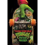Teenage Mutant Ninja Turtles - Skateboard Maxi Poster