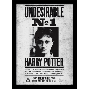 Harry Potter - Staatsfeind Nr. 1 gerahmtes Bild
