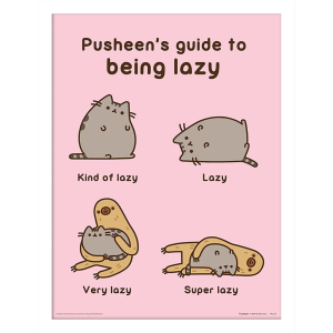 Pusheen - Anleitung zum Faul sein gerahmtes Bild