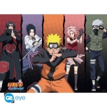 Naruto Shippuden - Gruppe Poster Set