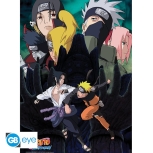 Naruto Shippuden - Ninjas Poster Set