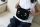 Cushion, Mochi Katze heizbar Plüsch schwarz