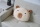 Cushion, Mochi Capybara Kopf Plüsch 35cm