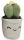 Kaktus mit Blume im weißen Topf Plüsch 30cm