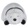 Spy x Family - Bond Forger schlafend Mocchi-Mocchi Plüsch 20cm