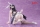 Overlord - Albedo Version: Bunny Desktop Cute Figur