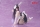 Overlord - Albedo Version: Bunny Desktop Cute Figur