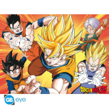 Dragon Ball Z - Saiyajins Poster Set