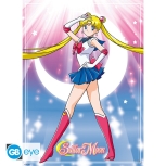 Sailor Moon - Sailor Moon & Katzen Poster Set