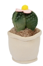 Kaktus mit Blume in weißem Topf Plüsch 15cm