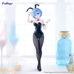 Re:Zero Leben in einer anderen Welt von Null an - Rem...