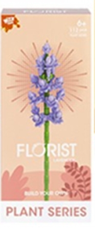 Lavendel Bauset 16cm
