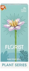 Clematis Bauset 16cm