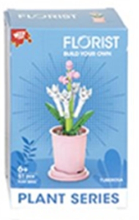 Tuberose Mini-Bauset 13cm