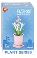 Tuberose Mini-Bauset 13cm