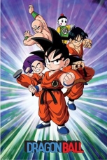 Dragon Ball Z - Gruppe Maxi Poster