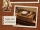 CuteBee Der geheime Rhythmus Book Nook