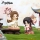 Heaven Officials Blessing - Dan Qing Feng Hua Mystery Figur