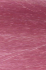 Stargazer, Semi Permanent Haircolour Baby Pink